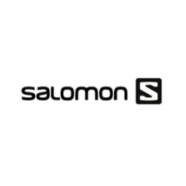 Salomon Ski