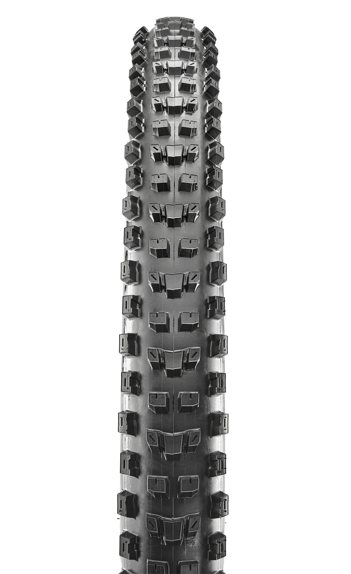 MAXXIS Maxxis Dissector Tire