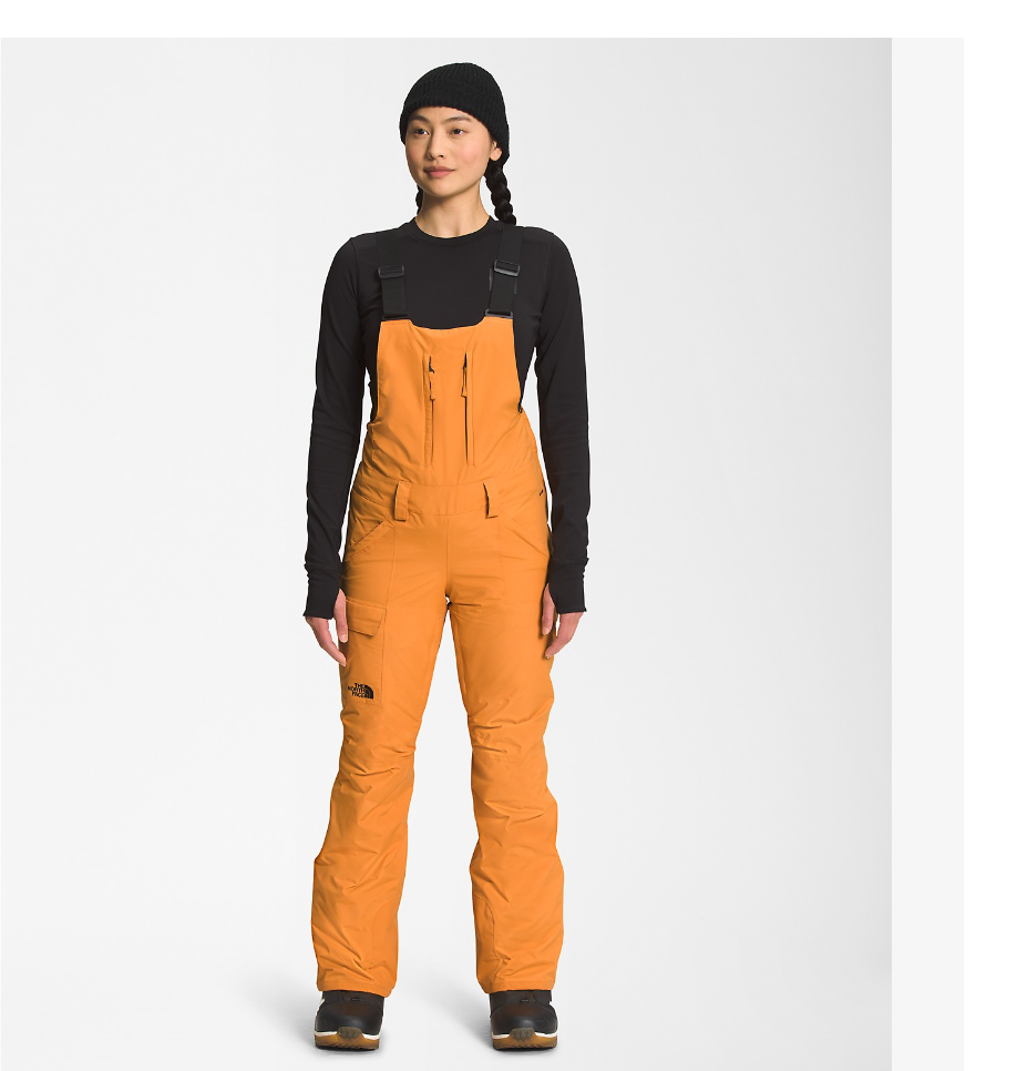 https://cdn.shoplightspeed.com/shops/638138/files/49131054/the-north-face-the-north-face-womens-freedom-bib.jpg