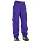 Airblaster Airblaster Women's Freedom Boss Pant (24/25)