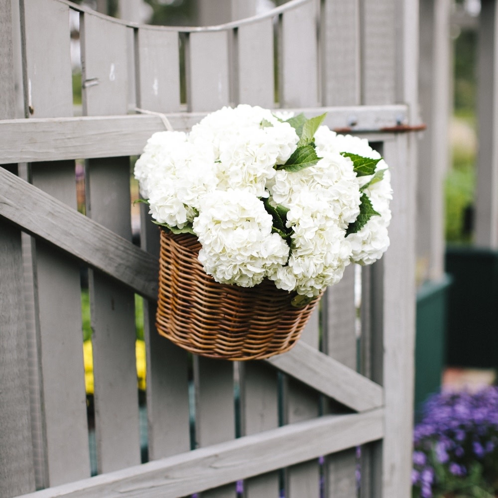 Nantucket Nantucket Cisco Adult D Front Bike Basket