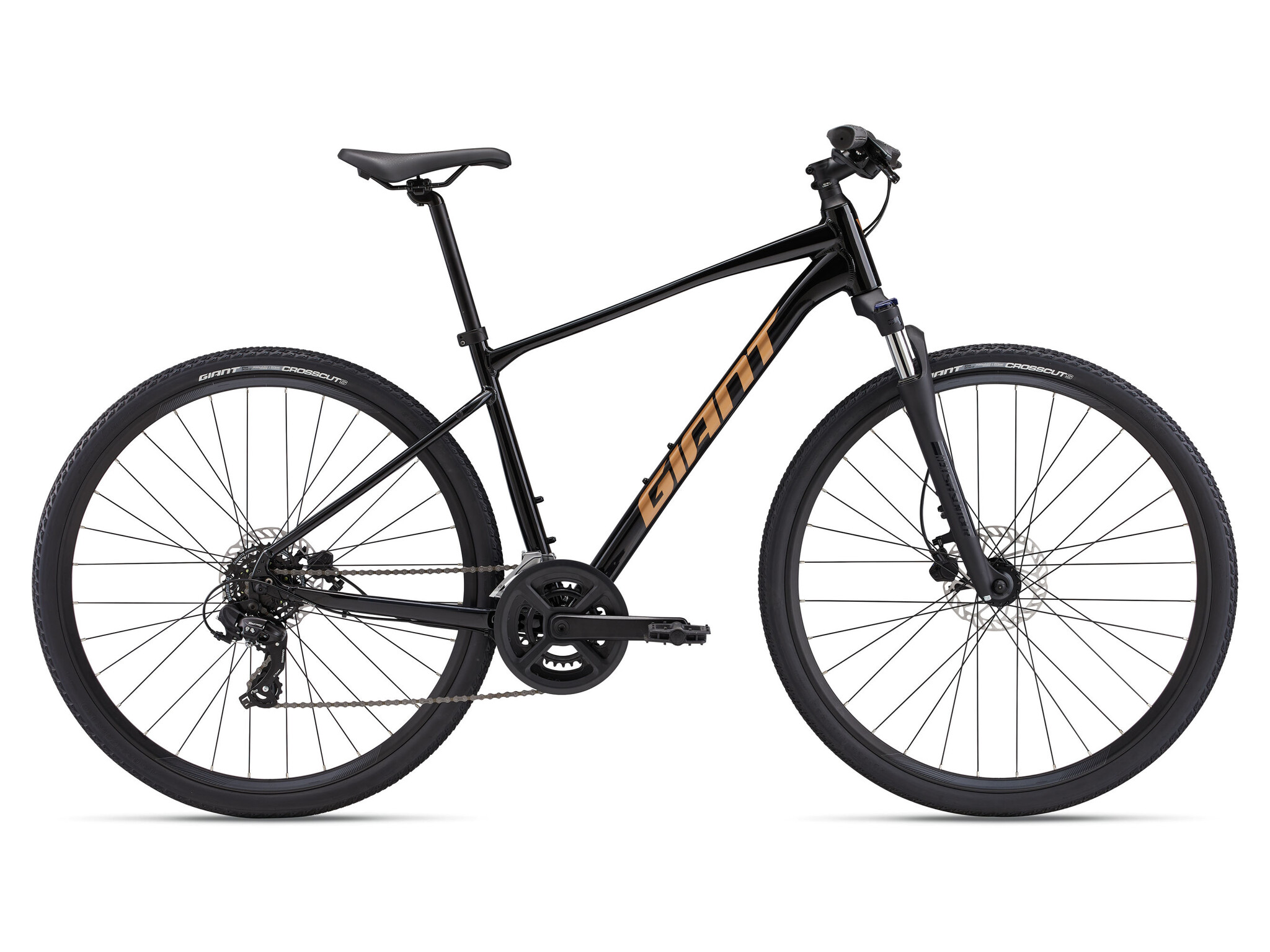 Giant Giant Roam 4
