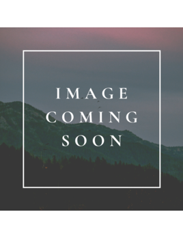 Roark Roark Men's Layover Classic Short (20/21)