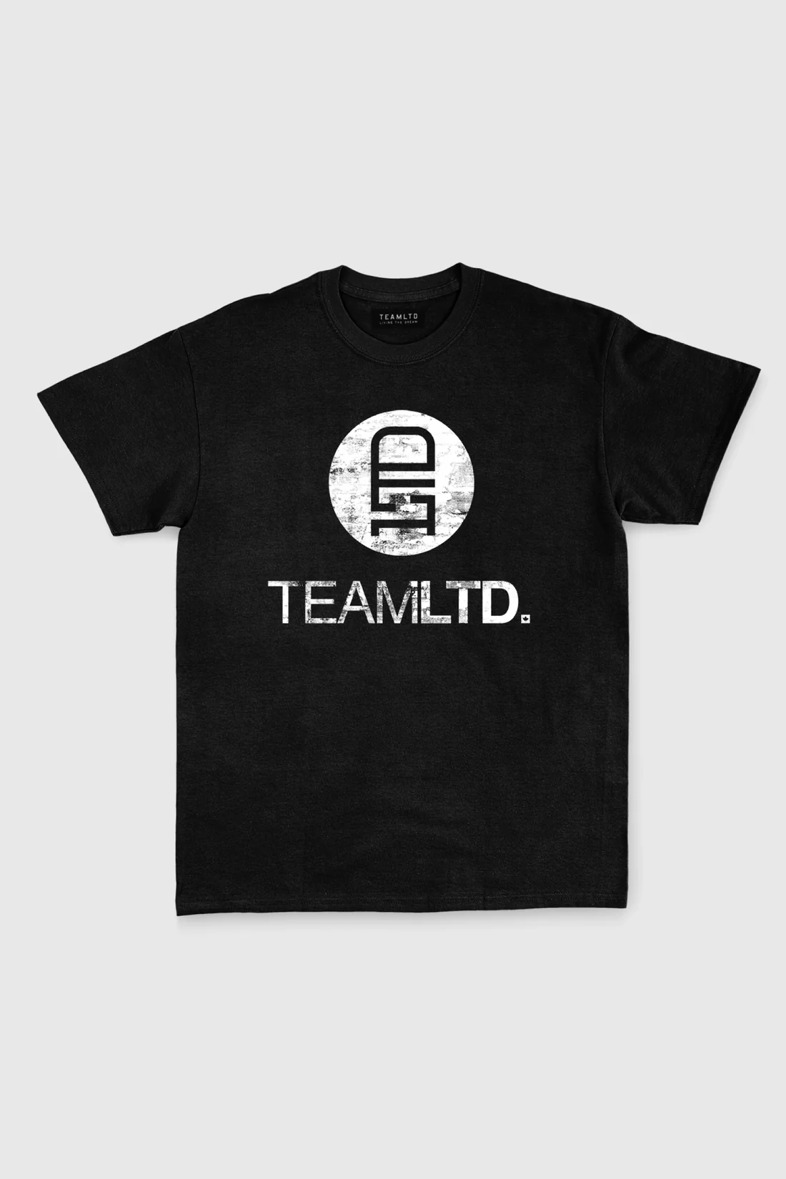 TeamLTD TeamLTD Logo Tee