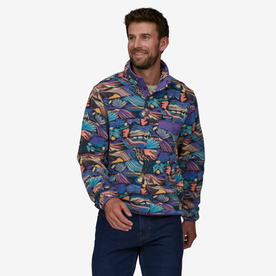 Patagonia Patagonia Men's Lightweight Synchilla Snap-T Pullover Fleece