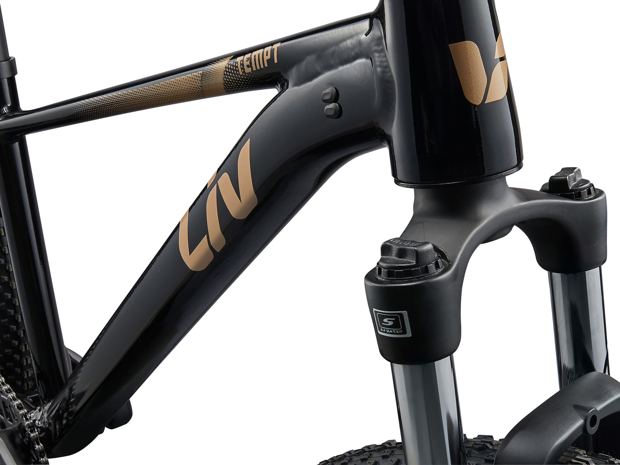Liv Liv Tempt 4 Womens Mountain Bike