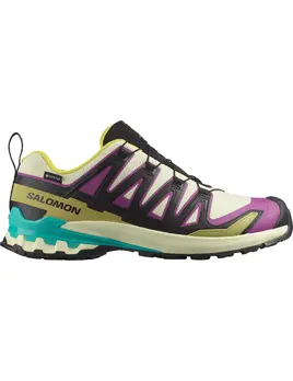 Salomon Salomon Men's XA Pro 3D V9 Gore-Tex Trail Running Shoes