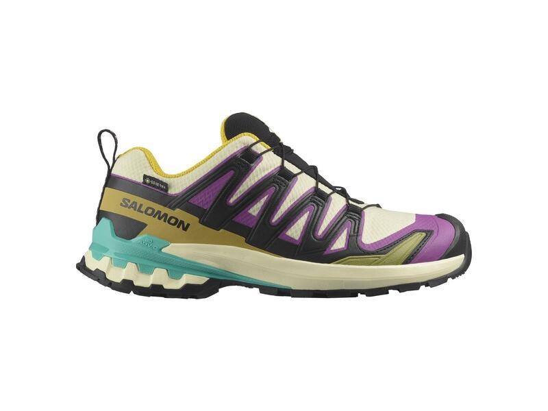 Salomon Salomon Women's XA Pro 3D V9 Gore-Tex Trail Running Shoes