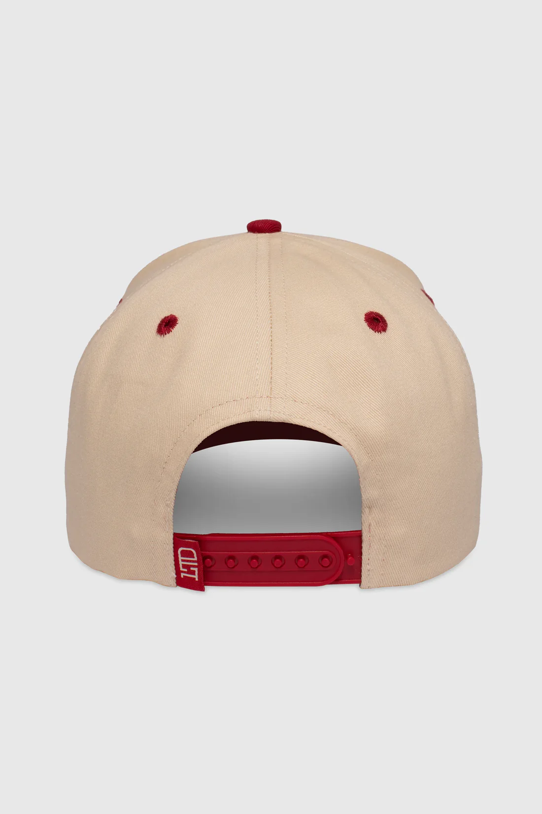 TeamLTD TeamLTD Mallard Snapback