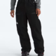 The North Face The North Face Men’s Gore-Tex® Dawnstrike Pant
