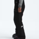 The North Face The North Face Men’s Gore-Tex® Dawnstrike Pant