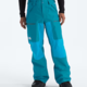 The North Face The North Face Men’s Gore-Tex® Dawnstrike Pant