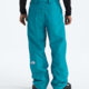 The North Face The North Face Men’s Gore-Tex® Dawnstrike Pant