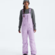 The North Face The North Face Women's Freedom Insulated Bib