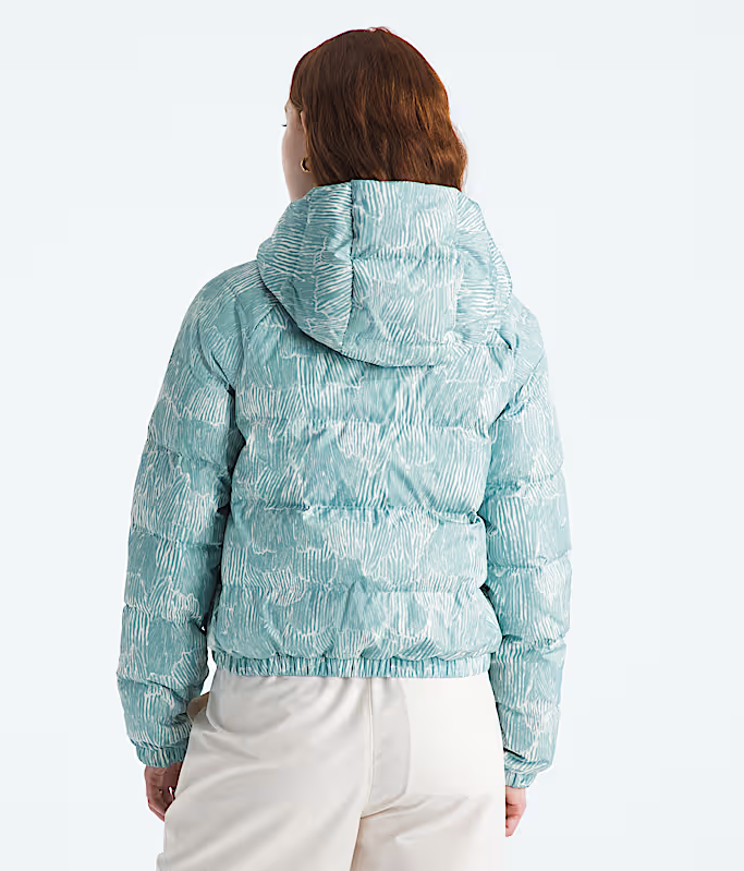 The North Face The North Face Women's Hydrenalite™ Down Hoodie