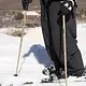 Armada Armada Triad Ski Poles