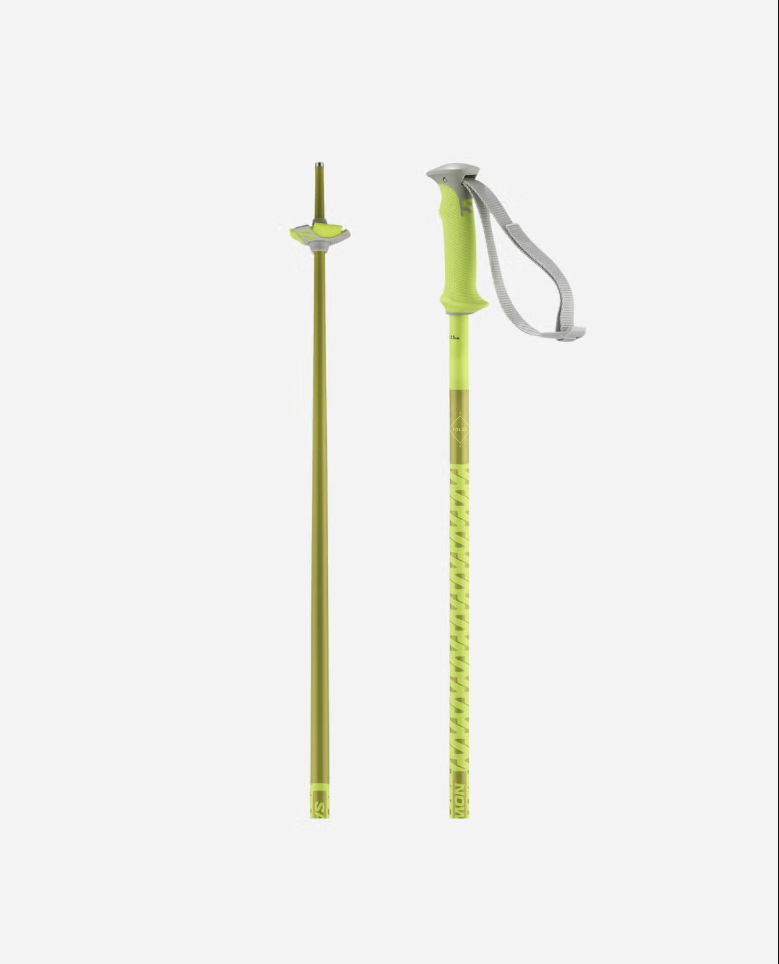 Salomon Ski Salomon Polar Ski Poles