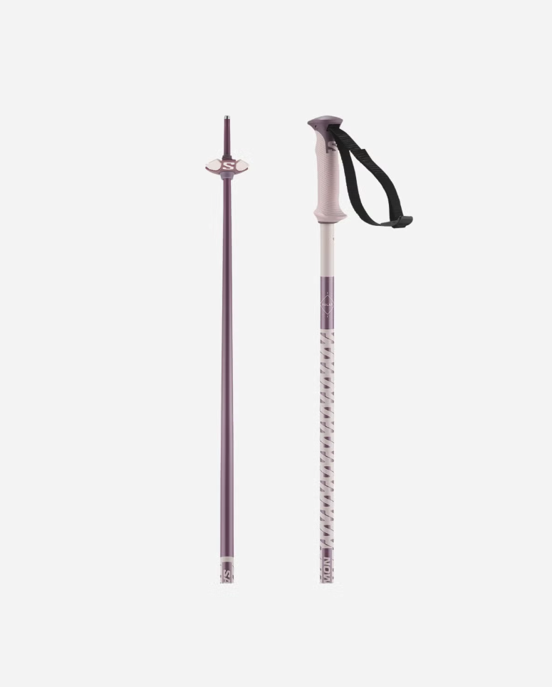 Salomon Ski Salomon Polar Ski Poles