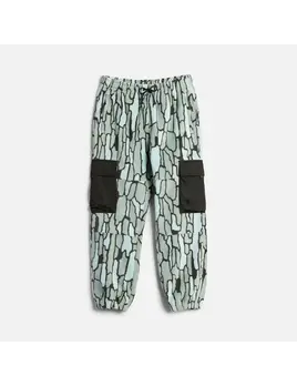 Autumn Autumn Men's Bask Cargo Pant