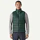 Patagonia Patagonia Men's Down Sweater Vest