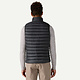 Patagonia Patagonia Men's Down Sweater Vest