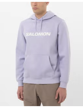 Salomon Salomon Men's Logo Hoodie