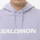 Salomon Salomon Men's Logo Hoodie