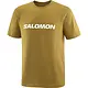 Salomon Salomon Men's Logo Short Sleeve Tee