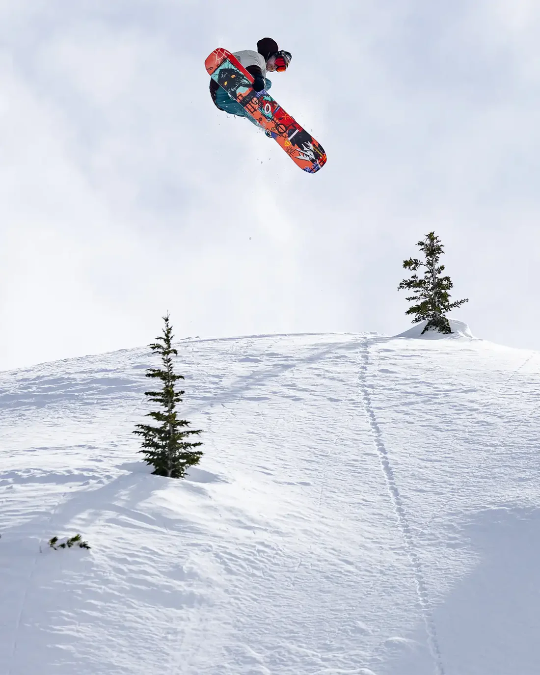 JONES Jones Men's Rally Cat Snowboard