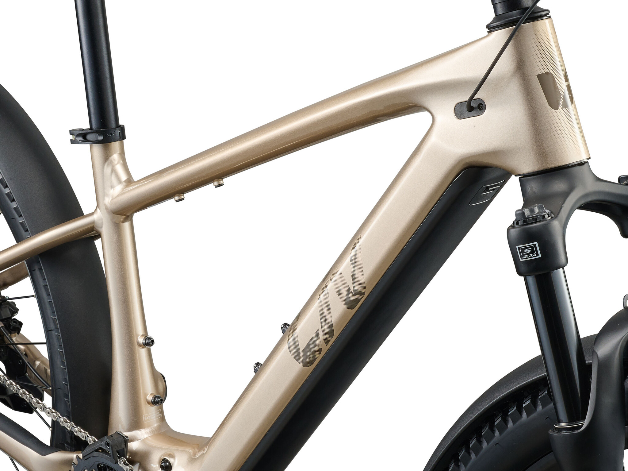 Liv Liv Tempt E+ EX Womens Electric Mountain Bike