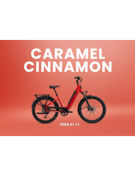 Momentum Bikes Momentum Vida E+ EX