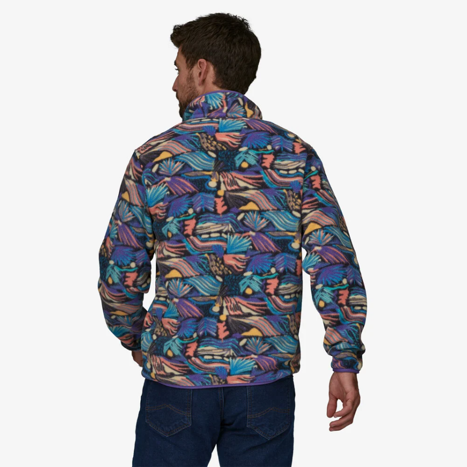 Patagonia Patagonia Men's Lightweight Synchilla® Snap-T® Fleece Pullover