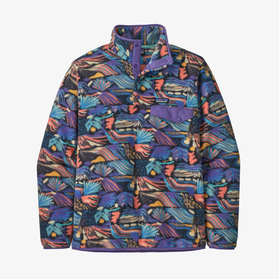 Patagonia Patagonia Men's Lightweight Synchilla® Snap-T® Fleece Pullover
