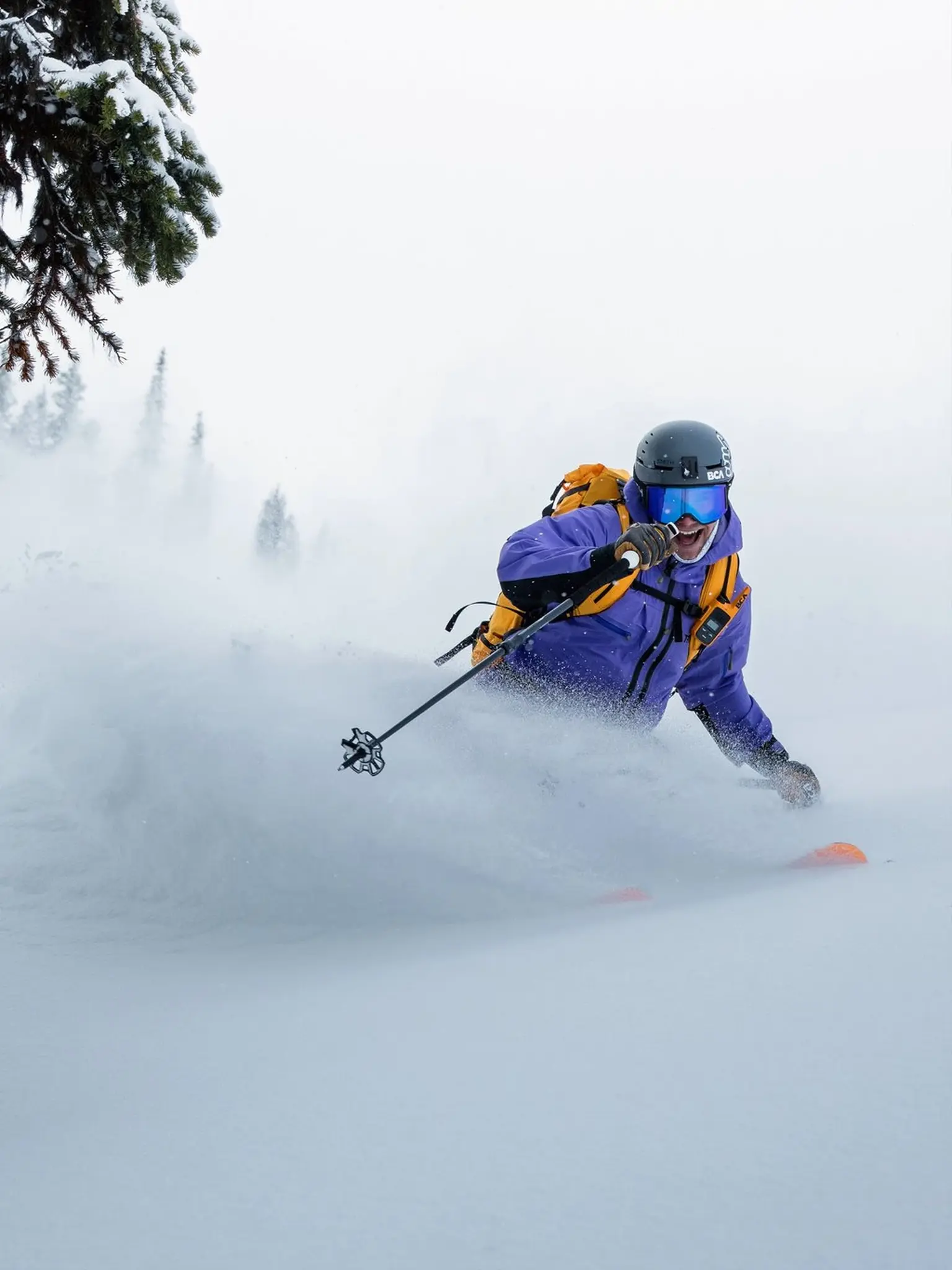 BCA BCA BC Link™ Mini Radio (NA Edition) 2026