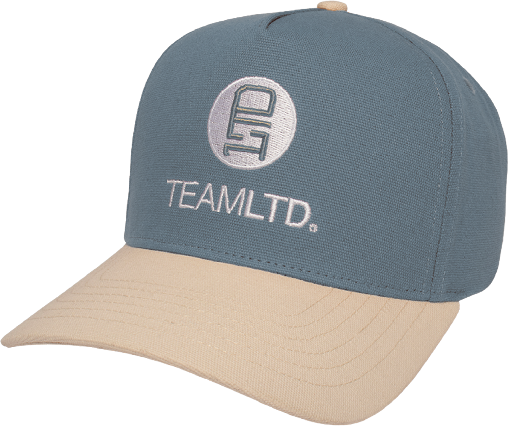 TeamLTD TeamLTD Logo Snapback