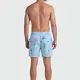 TeamLTD TeamLTD Men's Classic 6" Swim Short