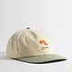 Coal Coal Evergreen Vintage 6-Panel Cap
