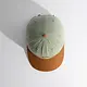 Coal Coal Evergreen Vintage 6-Panel Cap