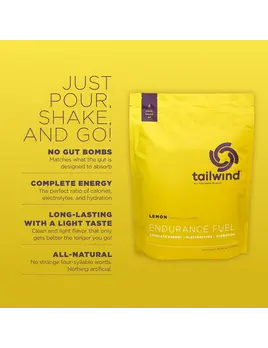 Tailwind Tailwind Endurance Fuel (Singles)