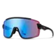 Smith Smith Wildcat Performance Sunglasses
