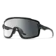 Smith Smith Wildcat Performance Sunglasses