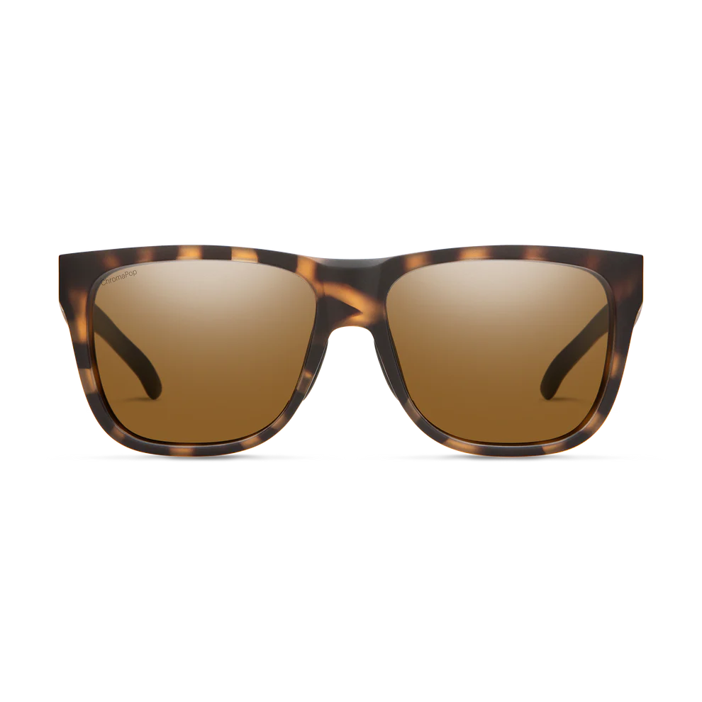 Smith Smith Lowdown 2 Everyday Sunglasses