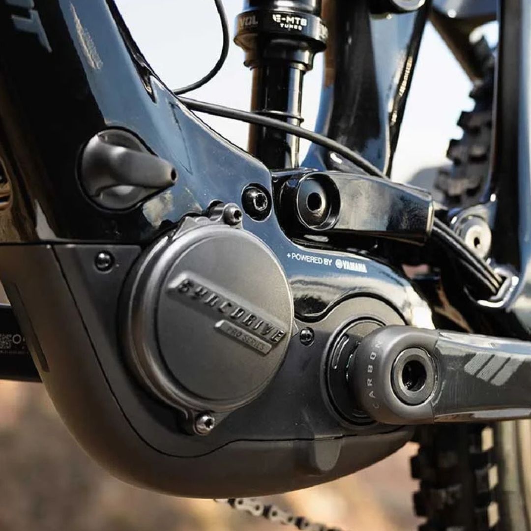 E-BIKES