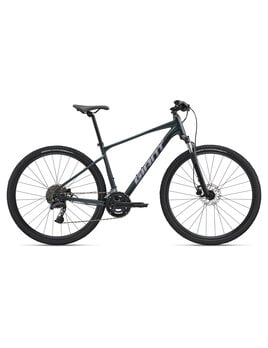 Giant Giant Roam 2