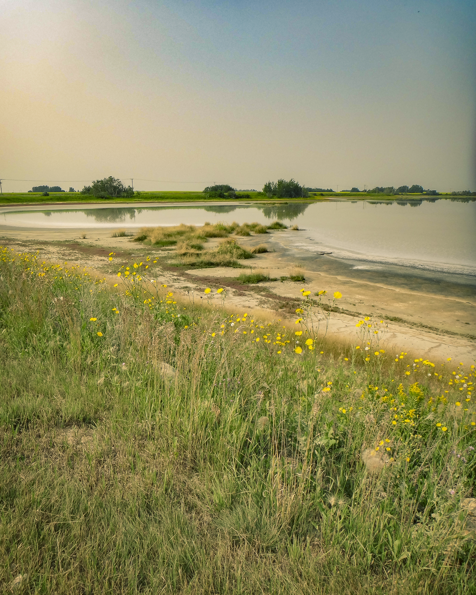 Tire Slough