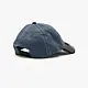 Afends Afends Consider Six Panel Cap Afends Afends Consider Six Panel Cap