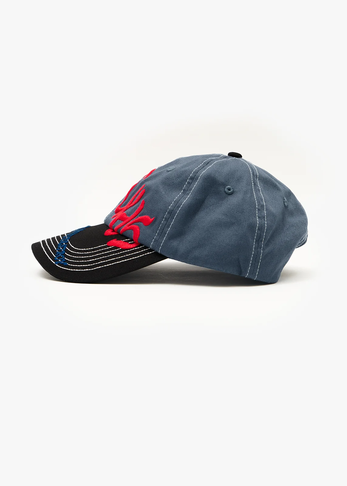 Afends Afends Consider Six Panel Cap