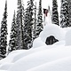 GNU GNU Men's Wagyu Snowboards GNU GNU Men's Wagyu Snowboards