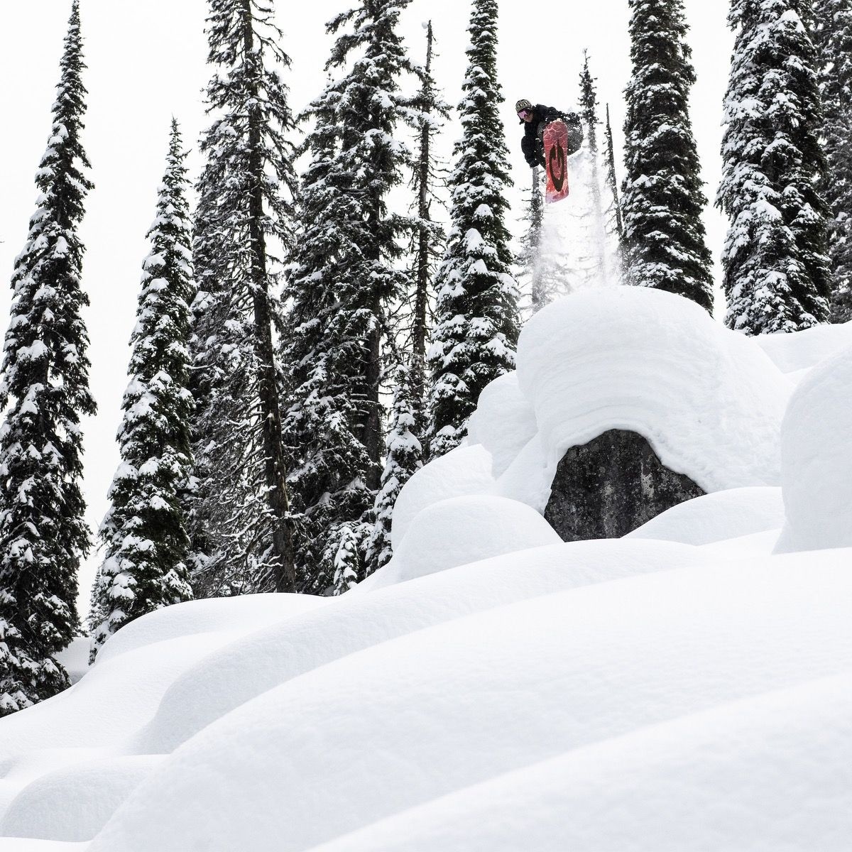 GNU GNU Men's Wagyu Snowboards