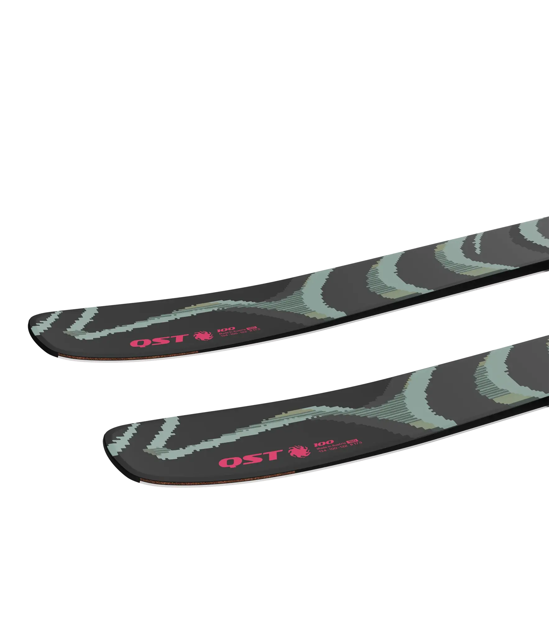 Salomon Ski Salomon QST 100 Black Skis